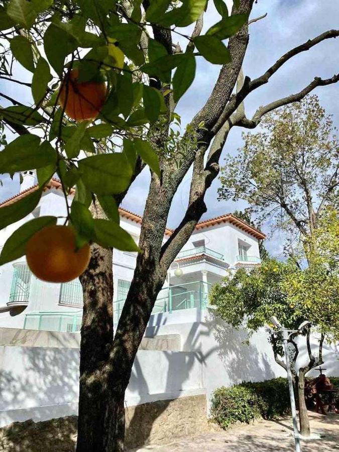 Апартаменты Nuevo Los Almendros 204 Complejo Turistico Кордова Экстерьер фото
